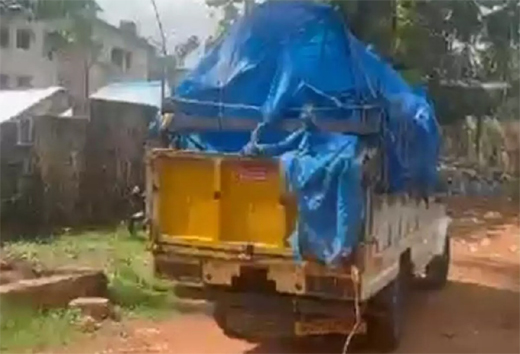 cattle transportation